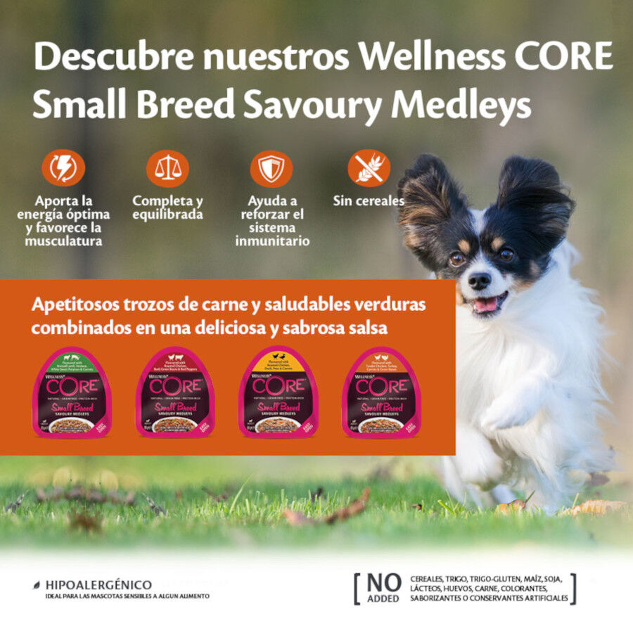 Wellness Core Small Breed Grain Free Pollo y Ternera tarrina para perros, , large image number null